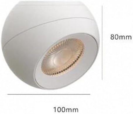 10W LED Ceiling Spotlight,Indoor Entrance Corridor Stairwell Directional Accent Light Fixture for Hallway Corridor Gallery Display Kitchen Living Room and Bedroom Aluminum Spot Light