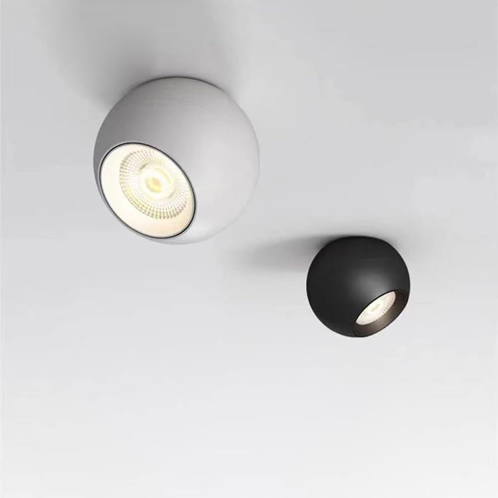 10W LED Ceiling Spotlight,Indoor Entrance Corridor Stairwell Directional Accent Light Fixture for Hallway Corridor Gallery Display Kitchen Living Room and Bedroom Aluminum Spot Light