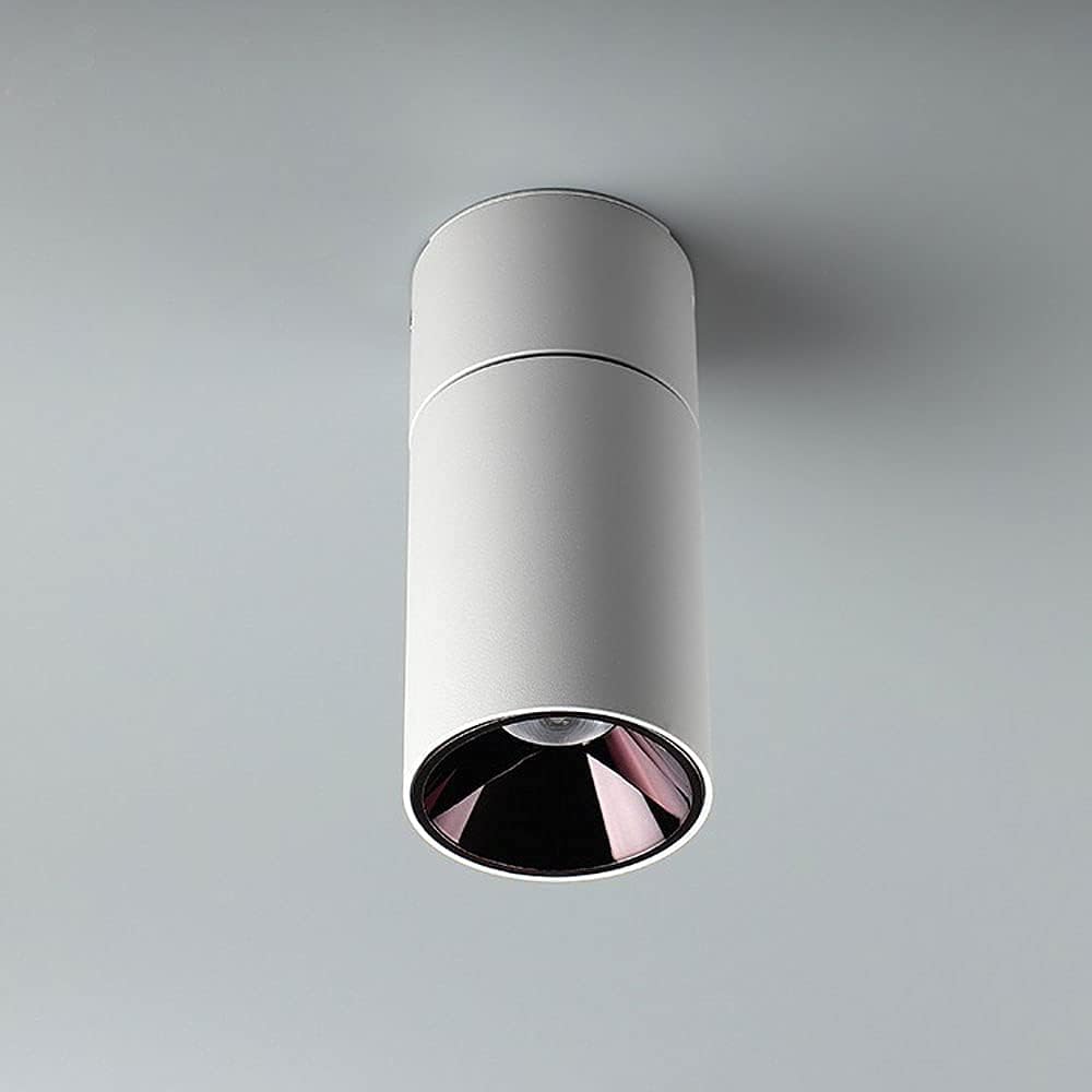 Spotlights,Led Ceiling Spotlight Indoor 10W Surface Mount Aent Spot Lamp, Adjustable Ceiling Light Fixture, Living Room Corridor Directional Spotlights, Gallery Picture Lighting/White-30
