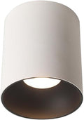 LED Ceiling Spotlight Indoor Cylinder, Modern Exposed Mounted Ceiling Lamp, White Aluminum Spot Light for Hallway Corridor Gallery Display Kitchen Living Room Dining Room Bedroom
