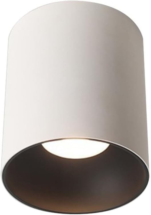 LED Ceiling Spotlight Indoor Cylinder, Modern Exposed Mounted Ceiling Lamp, White Aluminum Spot Light for Hallway Corridor Gallery Display Kitchen Living Room Dining Room Bedroom