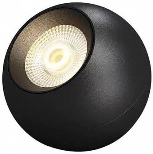 10W LED Ceiling Spotlight,Indoor Entrance Corridor Stairwell Directional Accent Light Fixture for Hallway Corridor Gallery Display Kitchen Living Room and Bedroom Aluminum Spot Light