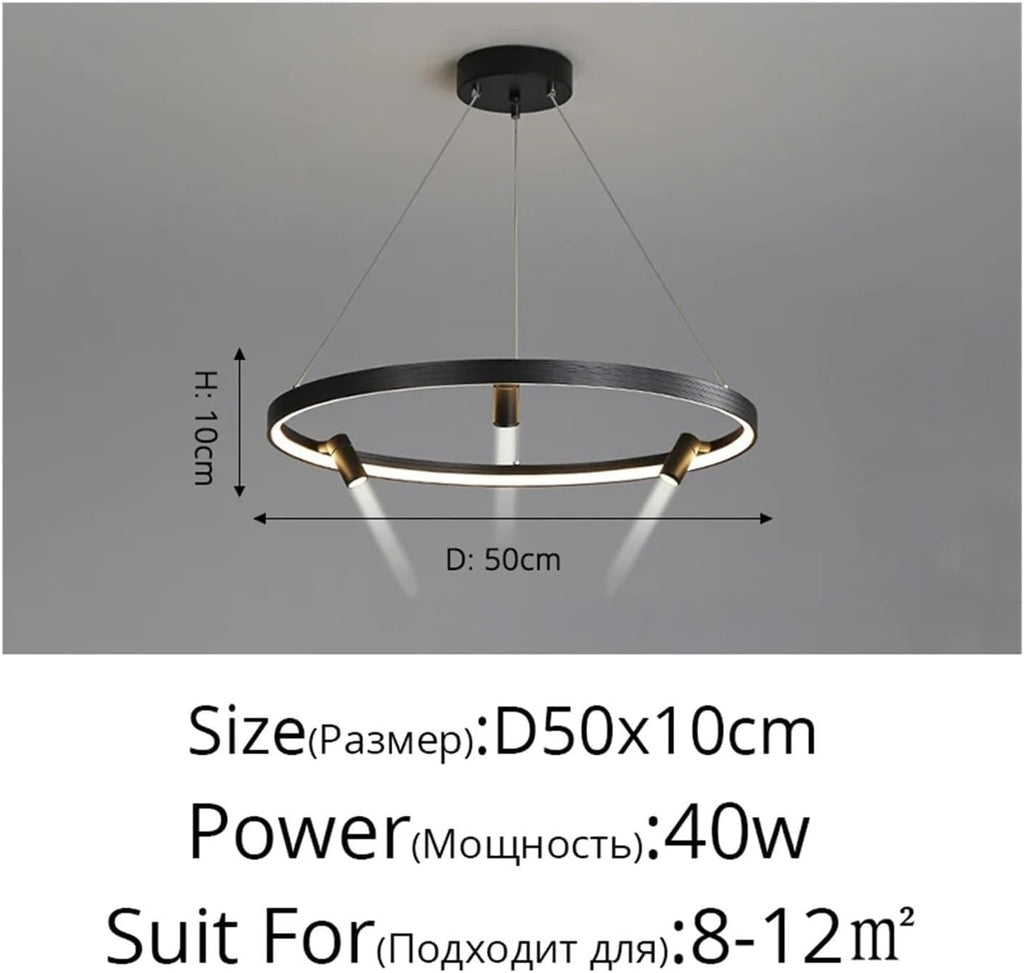 Remote Dimming Modern LED Chandelier Lights Living Dining Room Pendant Bedroom Hall Lamps Spotlight Indoor Lighting, Fixtures T-256(50cm)