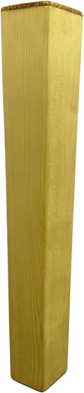 Musician's Mall Small Rain Stick Instrument for Sound Healing – Rainstick with Soothing Rain Sounds | 'Water-Fall' Sound Bath Instruments & Rain Point Therapy Tools (Small)