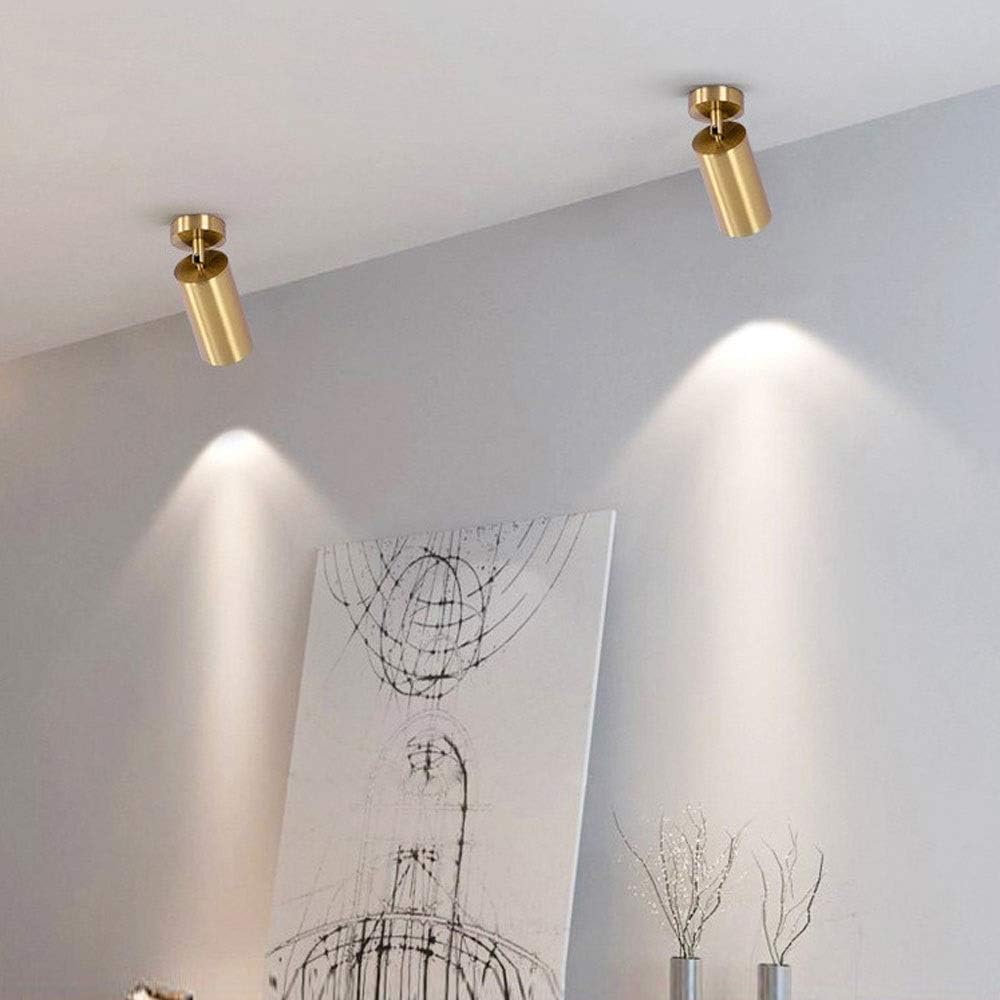 d Ceiling Spot Lights Modern Minimalist Wall Spotlight Aent Lamp, Adjustable Ceiling Lamps den Metal Ceiling Spotlights Indoor for Kitchen Office Shop Cafe, GU10 Base