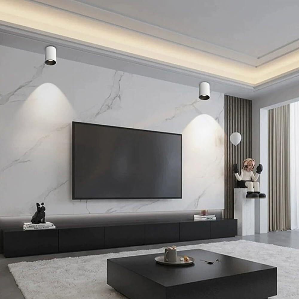 LED Ceiling Spotlight Indoor Cylinder, Modern Exposed Mounted Ceiling Lamp, White Aluminum Spot Light for Hallway Corridor Gallery Display Kitchen Living Room Dining Room Bedroom