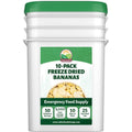 Valley Food Storage Freeze Dried Banana Slices | 10-Bag Bucket, 53 oz | Non-GMO Premium Emergency Food Supply, 25 Year Shelf Life | Prepper Supplies, Survival Food & Off-Grid Living | Packaged in USA