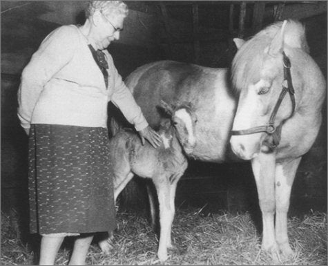 Misty of Chincoteague Deluxe Edition