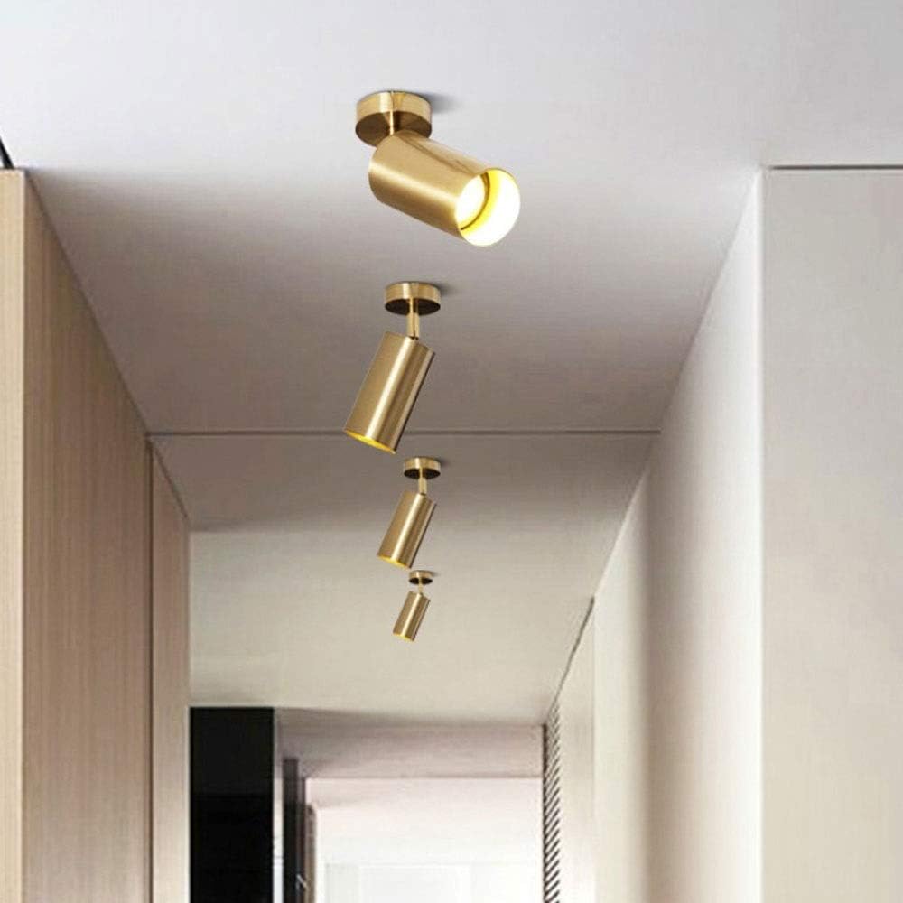 d Ceiling Spot Lights Modern Minimalist Wall Spotlight Aent Lamp, Adjustable Ceiling Lamps den Metal Ceiling Spotlights Indoor for Kitchen Office Shop Cafe, GU10 Base