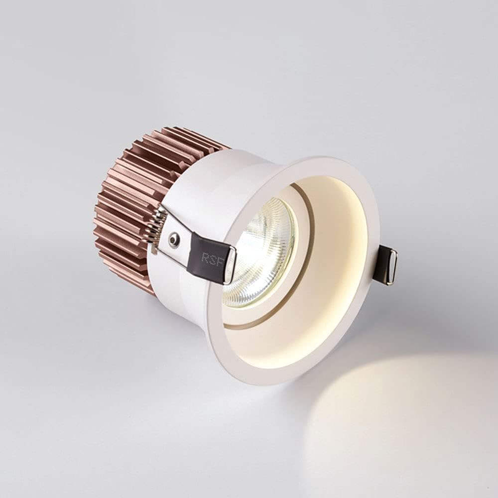 Spotlights,Modern Flush Mount Ceiling Spotlight Indoor Adjustable Downlight, 12W Led Recessed Lighting Fixture, Directional Spotlights Aent Lamps for Corridor Kitchen Living Room/3000K