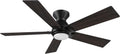 Carro Smart Ceiling Fans with Lights Flush Mount 48', 3 Light Colors Dimmable, 10 Speeds DC Ceiling Fan with Remote, Outdoor, Compatible with Alexa, Siri & Google Home, Wood & Dark Walnut