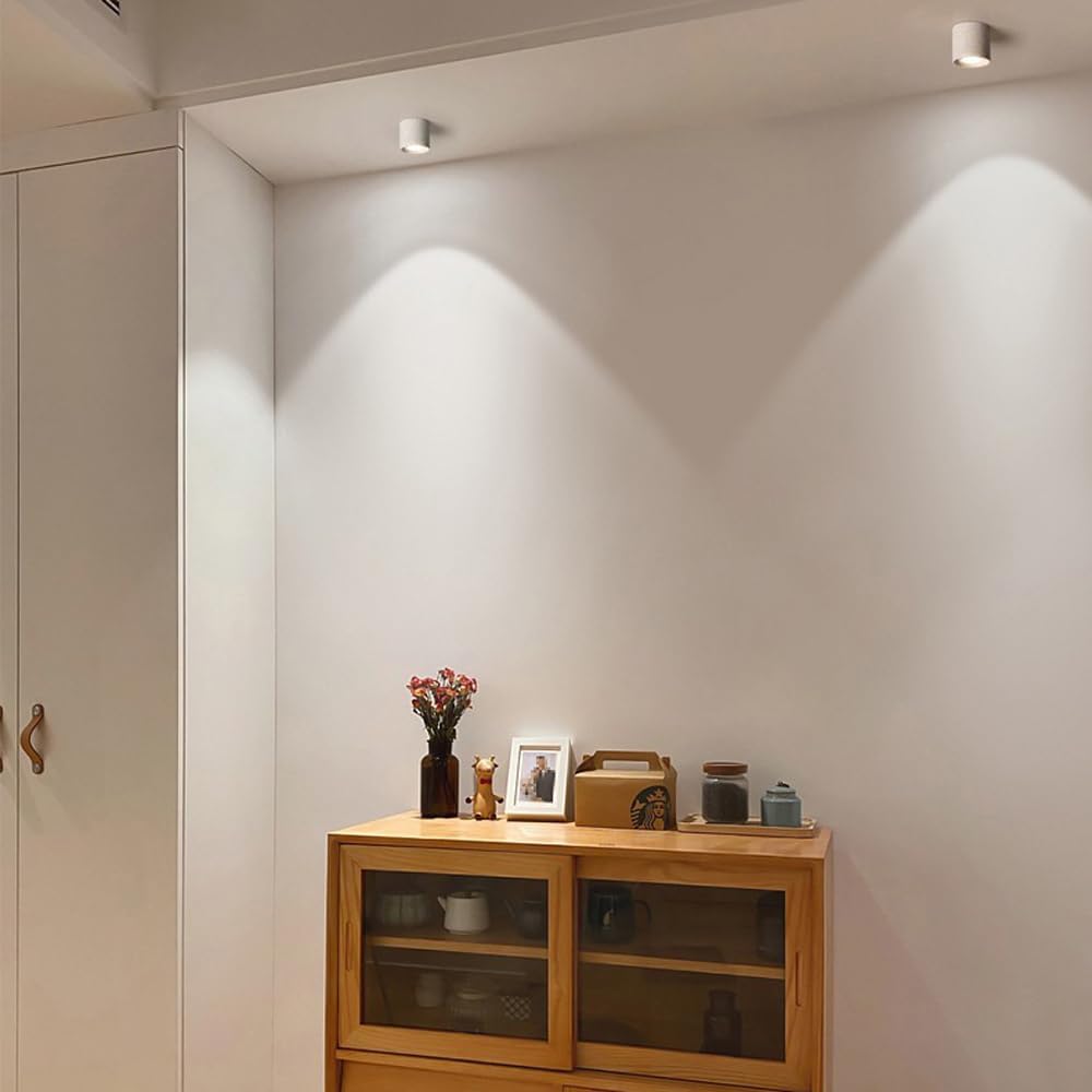 12 W Led Ceiling Spotlight, Indoor Spotlight,30° Adjustable Ceiling Downlight Wall Lamp, Aluminum Cylindl Spot Light for Kitchen Hallway Bedroom Dining Room Office Corridor 3000 K Wh