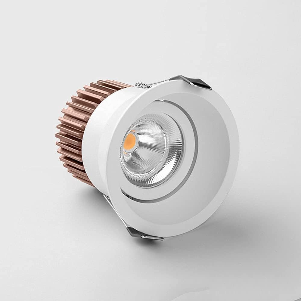 Spotlight Modern Flush Mount Ceiling Spotlight Indoor Adjustable Downlight, 12W Led Recessed Lighting Fixture, Directional Spotlights Aent Lamps for Corridor Kitchen Living Room/3500K