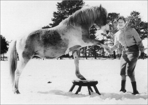 Misty of Chincoteague Deluxe Edition