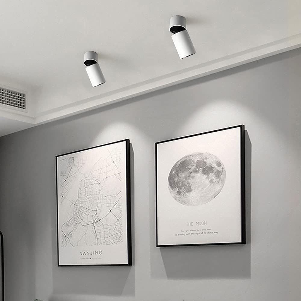 Spotlights,Led Ceiling Spotlight Indoor 10W Surface Mount Aent Spot Lamp, Adjustable Ceiling Light Fixture, Living Room Corridor Directional Spotlights, Gallery Picture Lighting/White-30