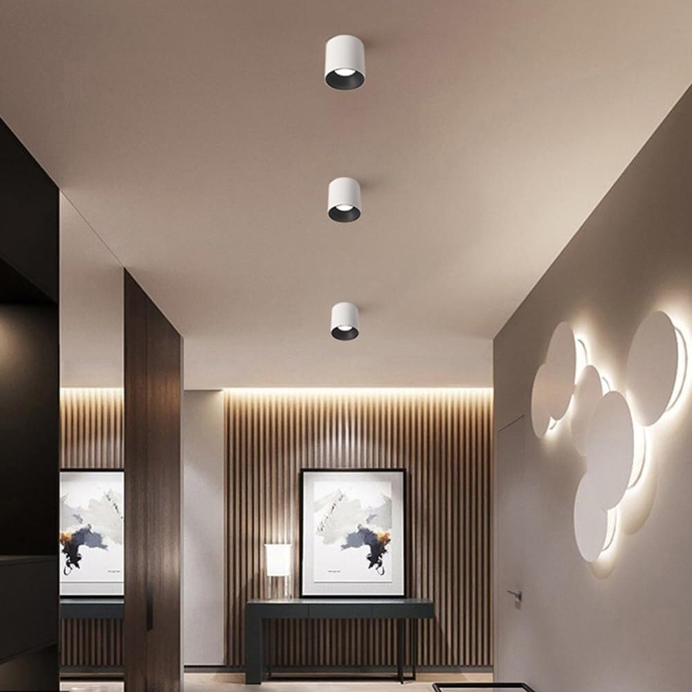 LED Ceiling Spotlight Indoor Cylinder, Modern Exposed Mounted Ceiling Lamp, White Aluminum Spot Light for Hallway Corridor Gallery Display Kitchen Living Room Dining Room Bedroom