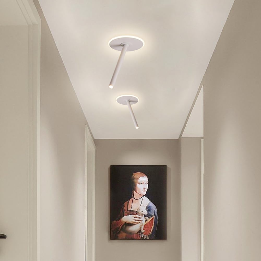 11W LED Adjustable Ceiling Spotlight Indoor Accent Lamp Moun Downlight Aluminum with 360° Pivoting Spot Light for Living Room Artwork Picture 3000K