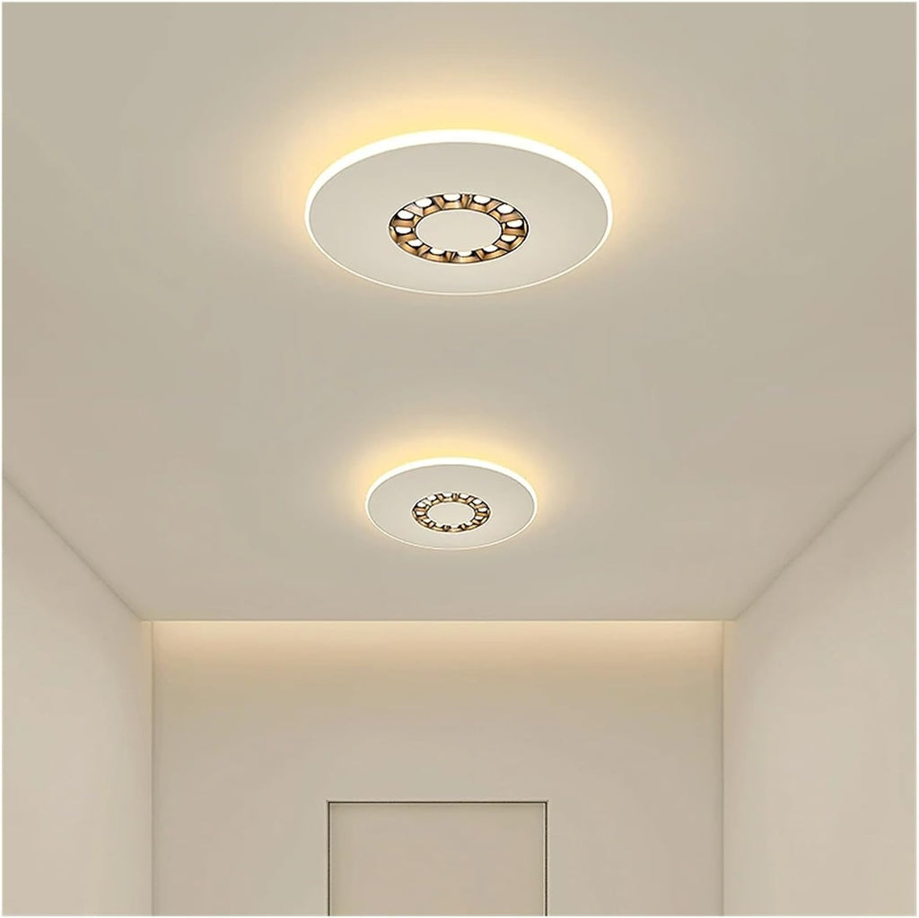 Modern Chandelier, Pendant Light Living Room Dining Bedroom Eye Protection Decorative with Spotlight Indoor Lighting(80cm)