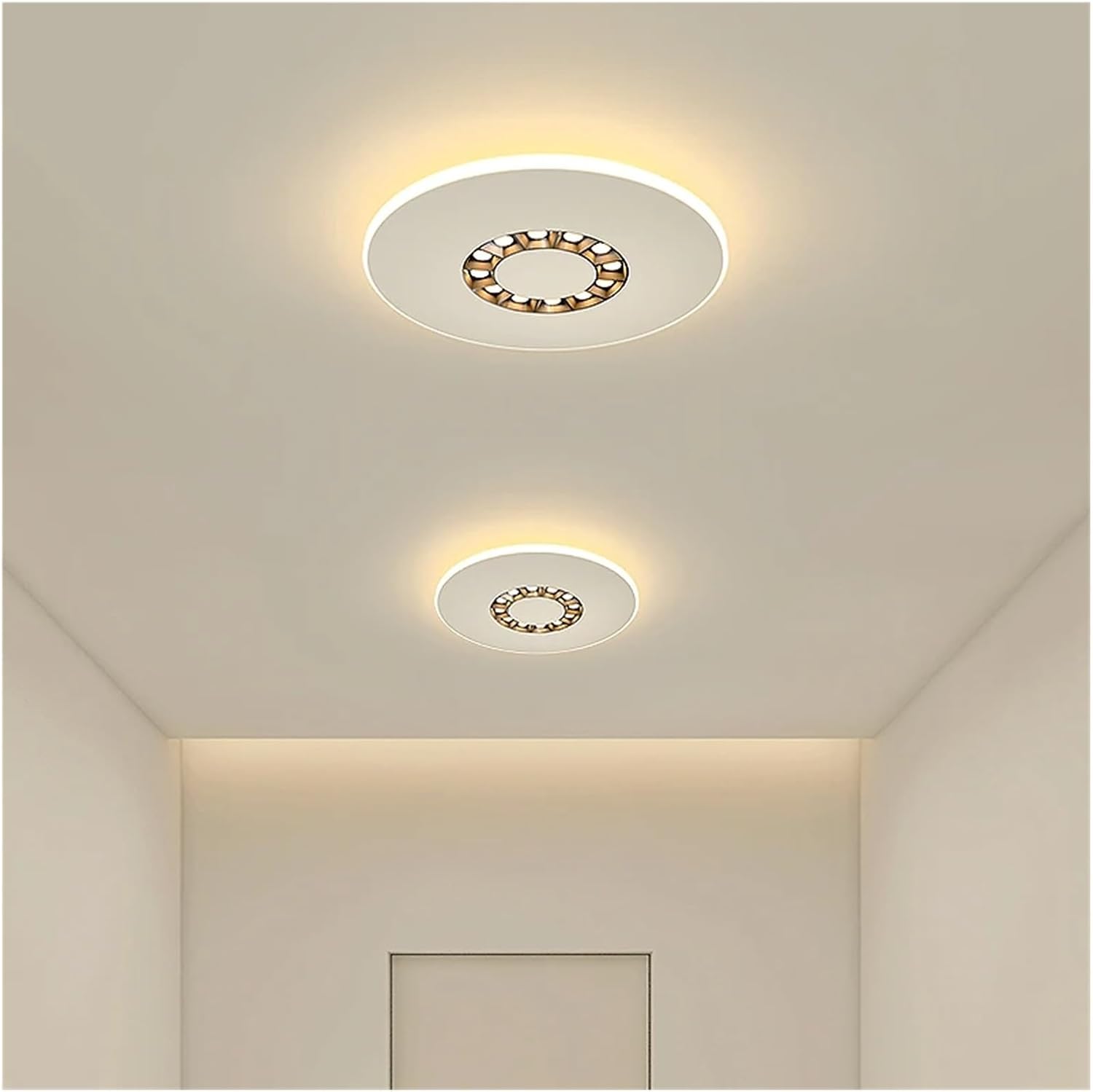 Modern Chandelier, Pendant Light Living Room Dining Bedroom Eye Protection Decorative with Spotlight Indoor Lighting(80cm)