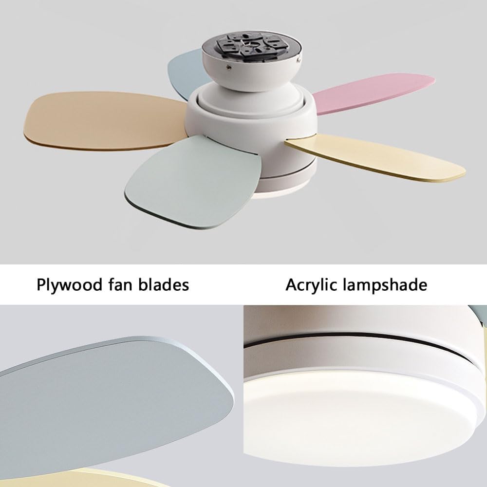 Flush Mount Ceiling Fan with Light 6 Speed Quiet Colorful Ceiling Fans Remote LED Ceiling Lights Fan Lighting Timing Reversible Fan Light for Bedroom Kids Room Lounge