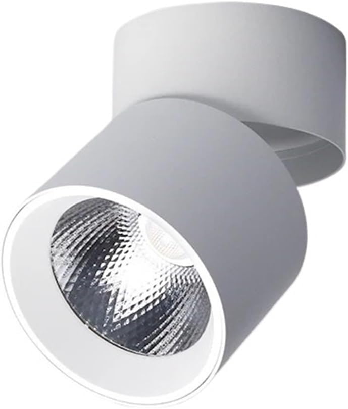 LED Downlight 3 Colour Dimmable Spotlight Indoor Ceiling Lamps(110V,20W White,Cold White)
