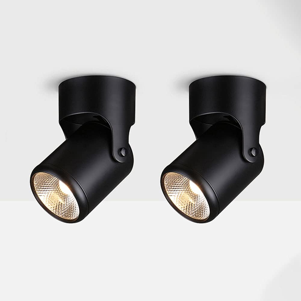 20W LED Ceiling Spotlight, Indoor Adjustable Downlight Accent Spot Lamp ?Wall Spot Lighting Fixture, Black Aluminum Wall Lamp Directional Spotlight for Shop Exhibitio