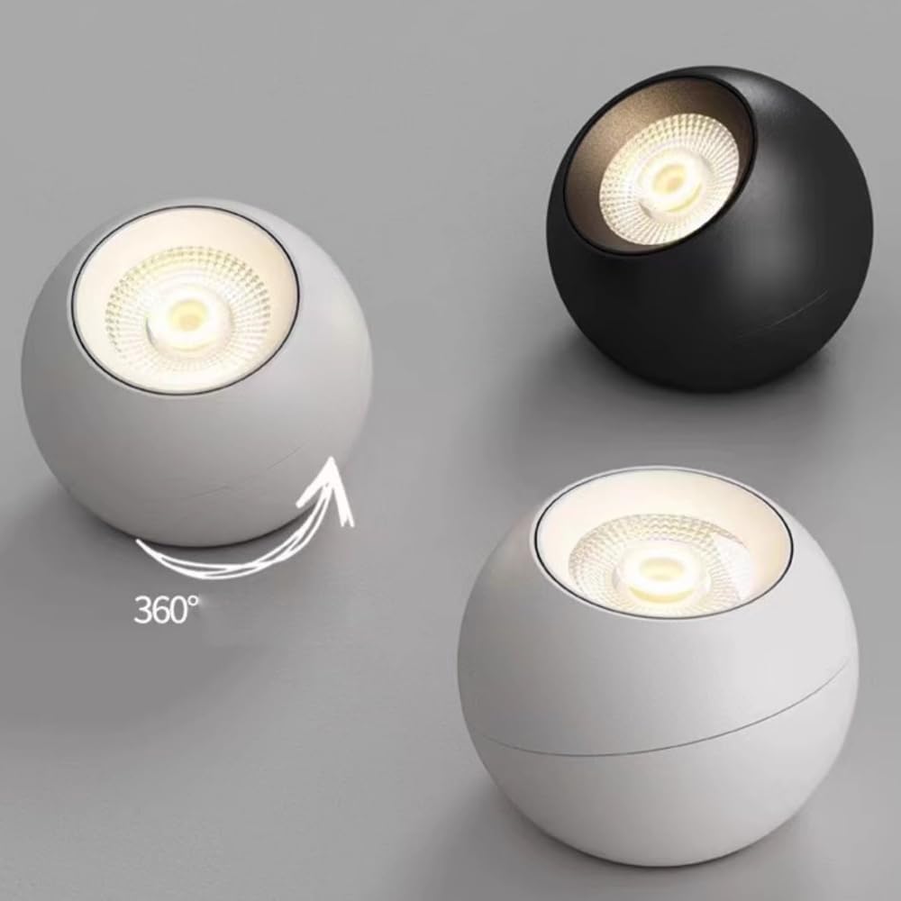 10W LED Ceiling Spotlight,Indoor Entrance Corridor Stairwell Directional Accent Light Fixture for Hallway Corridor Gallery Display Kitchen Living Room and Bedroom Aluminum Spot Light