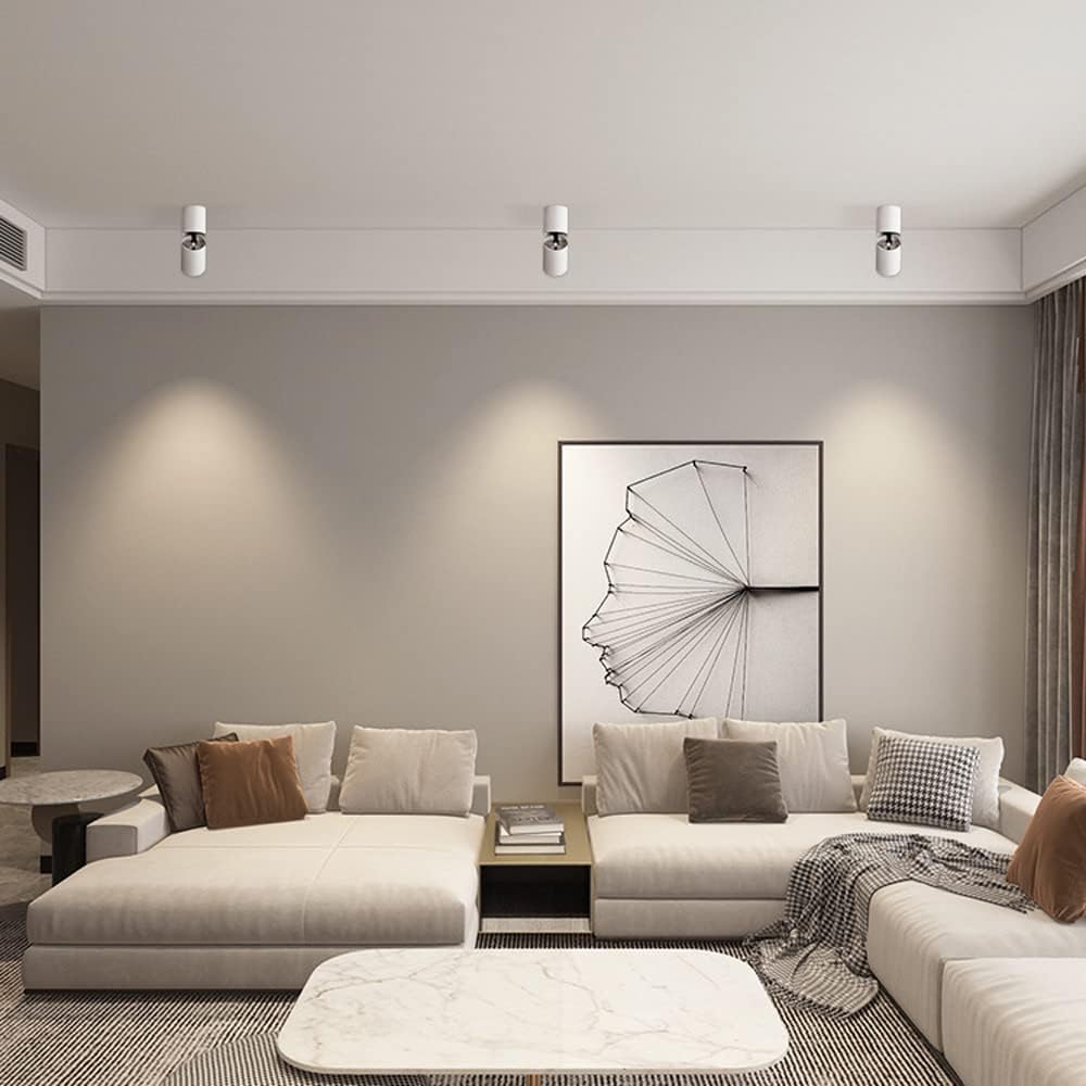 Adjustable Led Ceiling Spotlight Indoor Ceiling Spot Light 90°+360° Rotation Ceiling Lamp, 9W Directional Spotlights Accent Lamps, Aluminum Ceiling/Wall Swivel Lights/SVA（Blanc3500K）