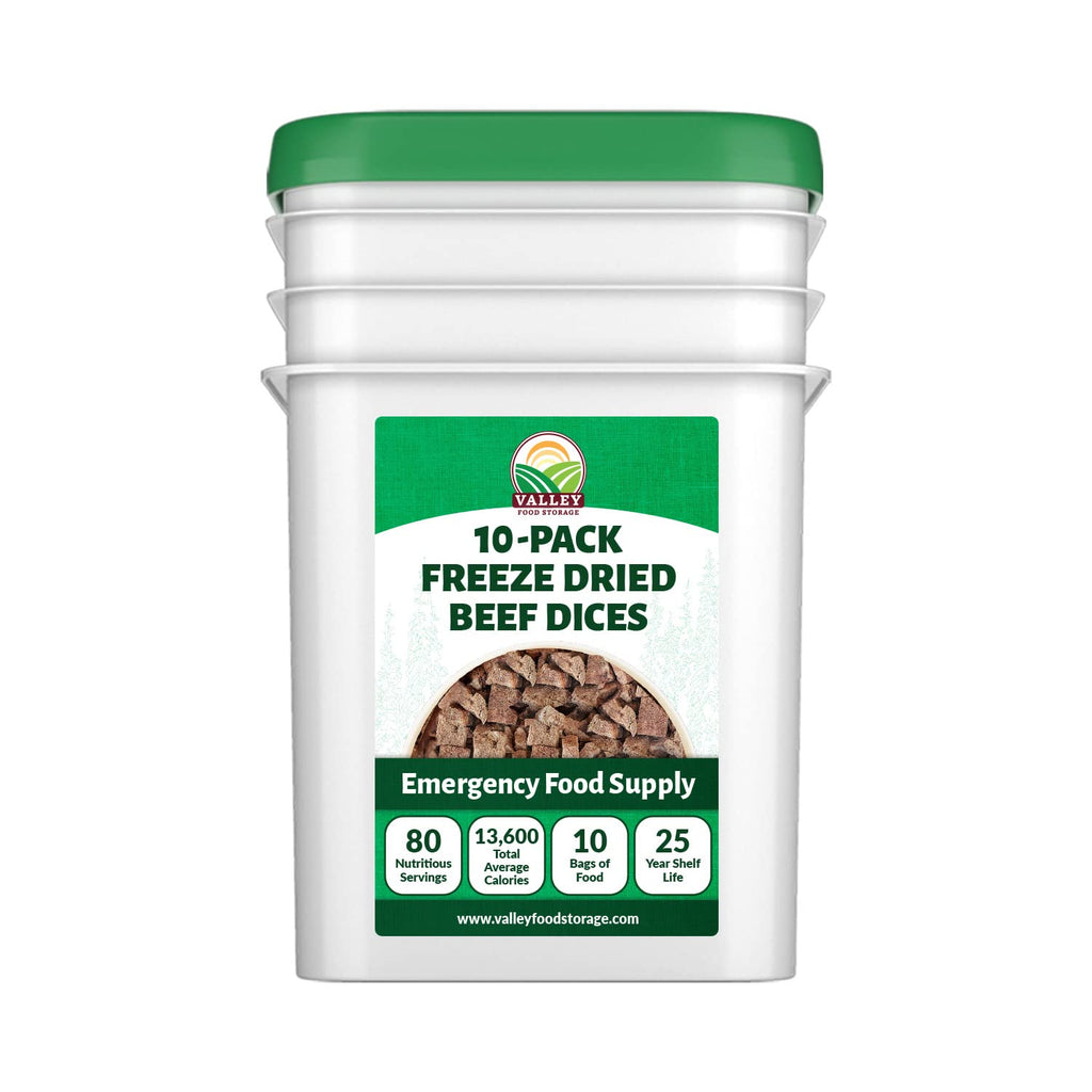 Freeze Dried Beef Dices 10-Bag Bucket, 85 Oz | Premium Emergency Food Supply 25 Year Shelf Life | Prepper Supplies, Survival Food, Off Grid Living Supplies | Valley Food Storage Packaged in USA