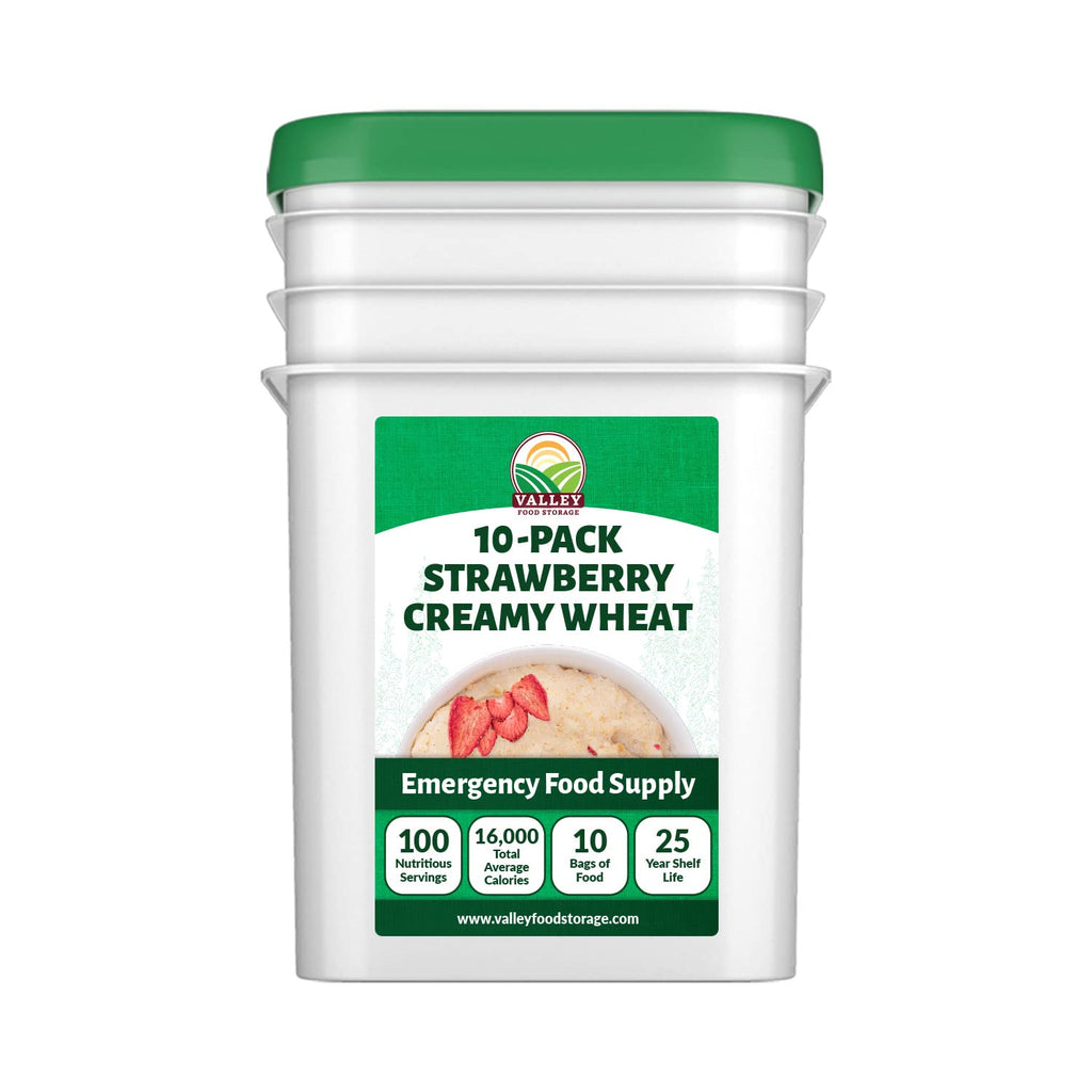 Valley Food Storage Freeze Dried Strawberry Creamy Wheat | 10-Bag Bucket, 100 Servings | Premium Emergency Food Supply, 25 Year Shelf Life | Survival Breakfast Food for Prepper Storage & Camping