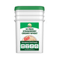 Valley Food Storage Freeze Dried Strawberry Creamy Wheat | 10-Bag Bucket, 100 Servings | Premium Emergency Food Supply, 25 Year Shelf Life | Survival Breakfast Food for Prepper Storage & Camping