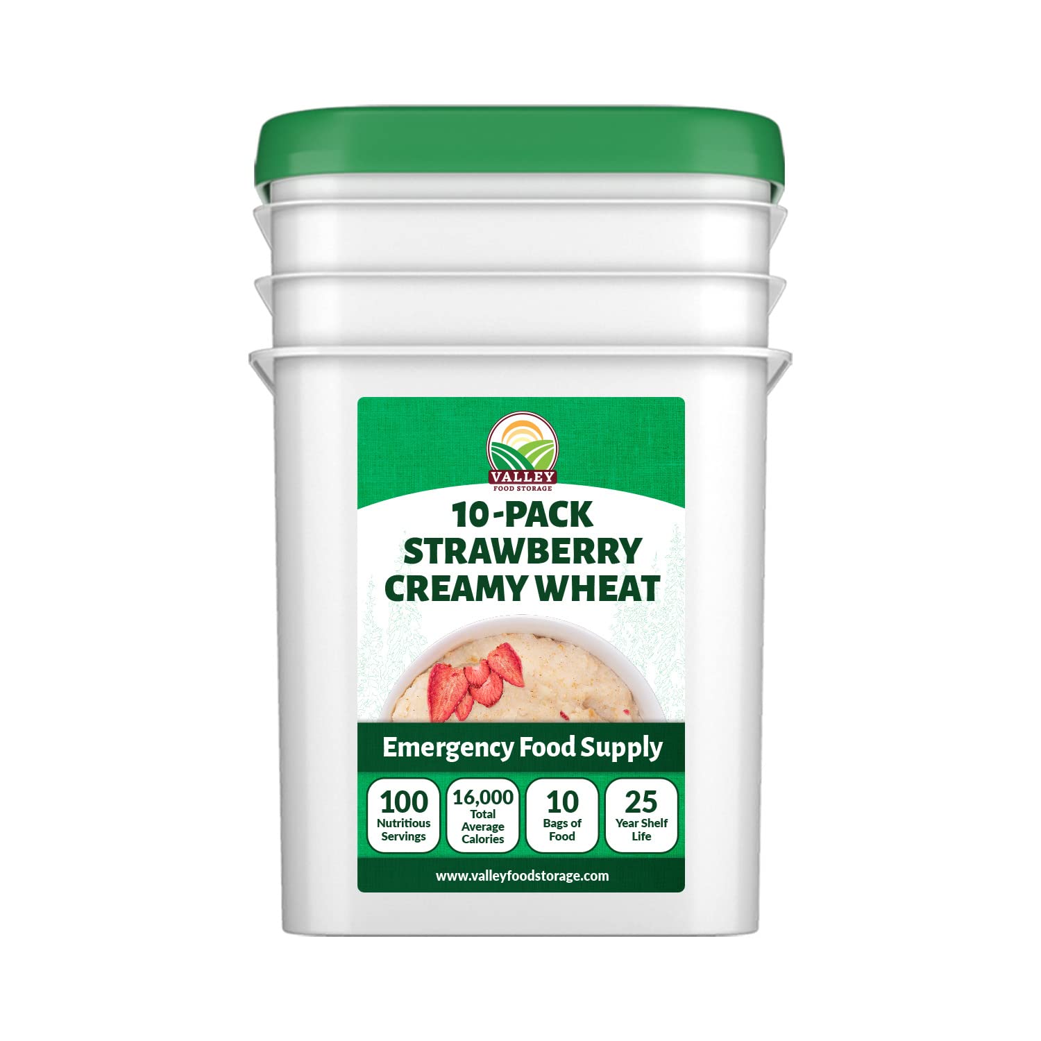 Valley Food Storage Freeze Dried Strawberry Creamy Wheat | 10-Bag Bucket, 100 Servings | Premium Emergency Food Supply, 25 Year Shelf Life | Survival Breakfast Food for Prepper Storage & Camping
