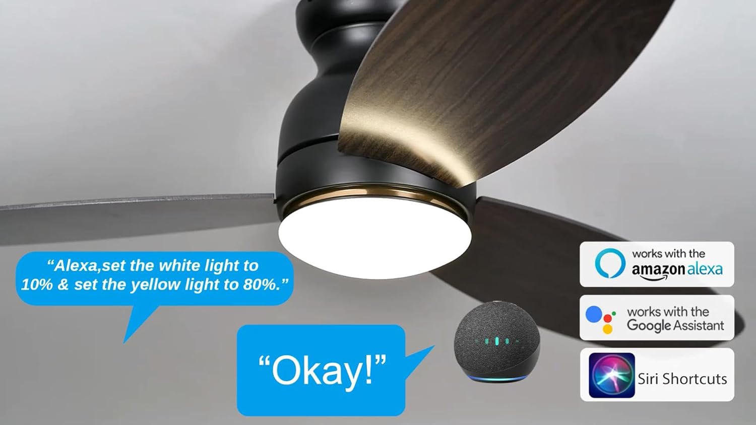 Carro Ceiling Fan with Lights, Indoor & Outdoor Ceiling Fan, 52' Low Profile DC Smart Ceiling Fan Compatible with Alexa, Siri, Google Home & Smart APP, Dark Walnut