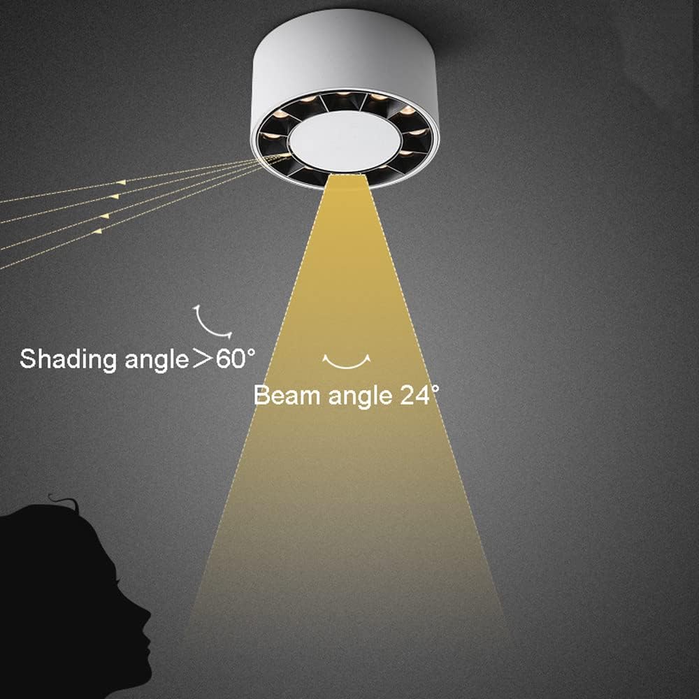 Led Ceiling Spotlight Indoor Mini Surface Monopoint Light Fixture, Cylinder Ceiling Downlight Aluminum Directional Spotlights for Living Room Bedroom Corridor Kitchen/Svart6000K/12W