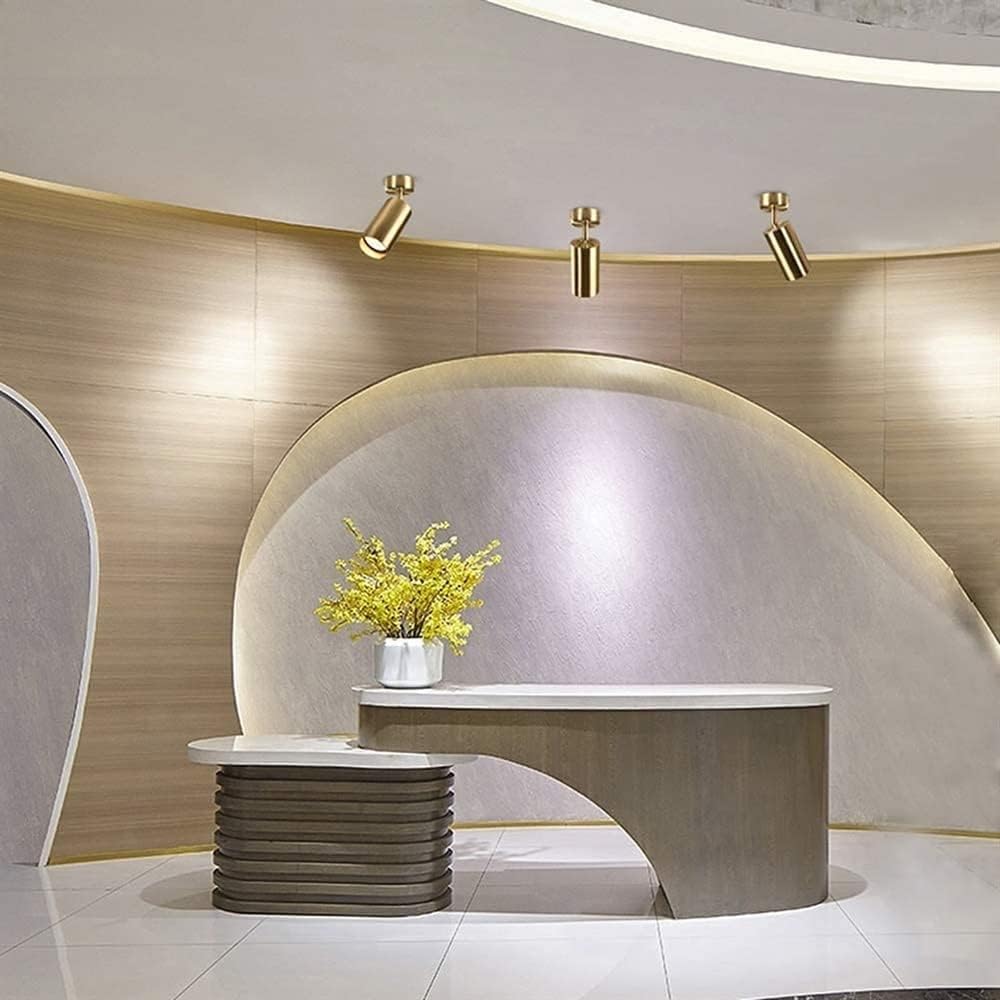 7W LED 360°Adjustable Ceiling Spotlight Indoor Mounted COB Ceiling Light Fixture Aluminum Ceiling Lamp Mounted Downlight for Living Room, Bedroom, Dining Room, Kitchen (Color : Gold,