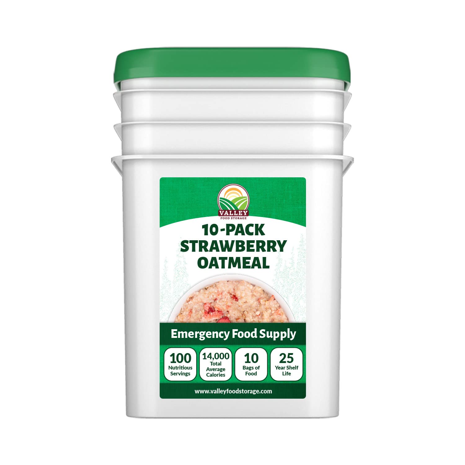 Valley Food Storage Freeze Dried Strawberry Oatmeal | 10-Bag Bucket, 100 Servings | Premium Emergency Food Supply with 25 Year Shelf Life | Non-GMO Freeze Dried Breakfast & Prepper Food