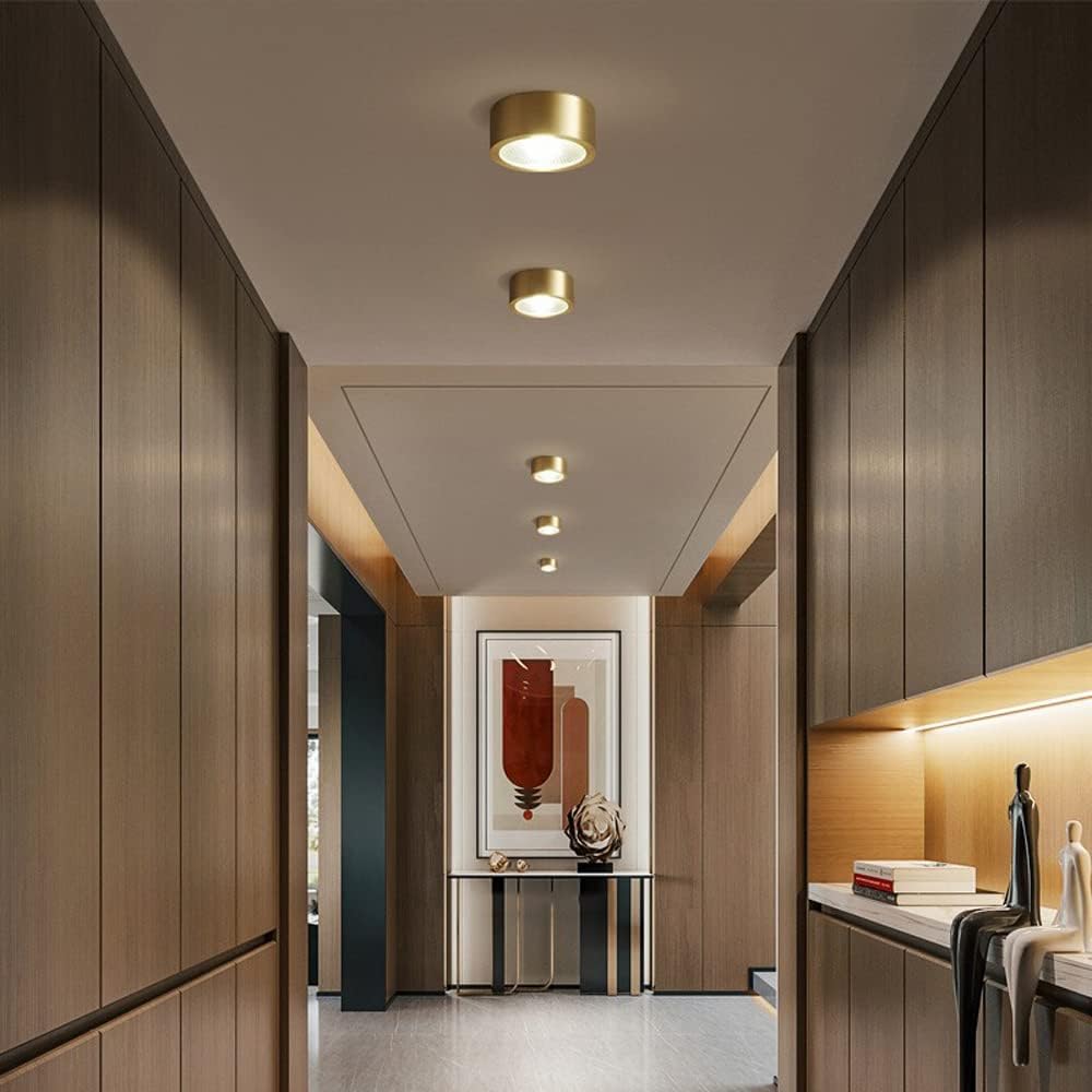 Set of 10 Premium Brass COB Ceiling Lamps - 3W, 5W, 7W, 9W LED Retrofit Downlight Spotlight for Indoor Use, Eye Protection, No Strobe Light(Light Color,3W)