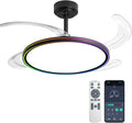 BAYSQUIRREL Slim Retractable Ceiling Fan, 42 Inch Low Profile Ceiling Fan with Remote Control, Dimmable Full Spectrum with Memory, 6-Speed Reversible Fan, Black