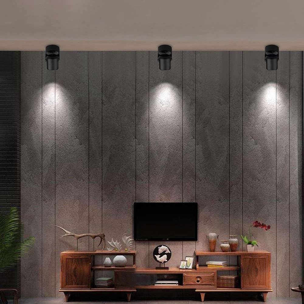 20W LED Ceiling Spotlight, Indoor Adjustable Downlight Accent Spot Lamp ?Wall Spot Lighting Fixture, Black Aluminum Wall Lamp Directional Spotlight for Shop Exhibitio,6500k