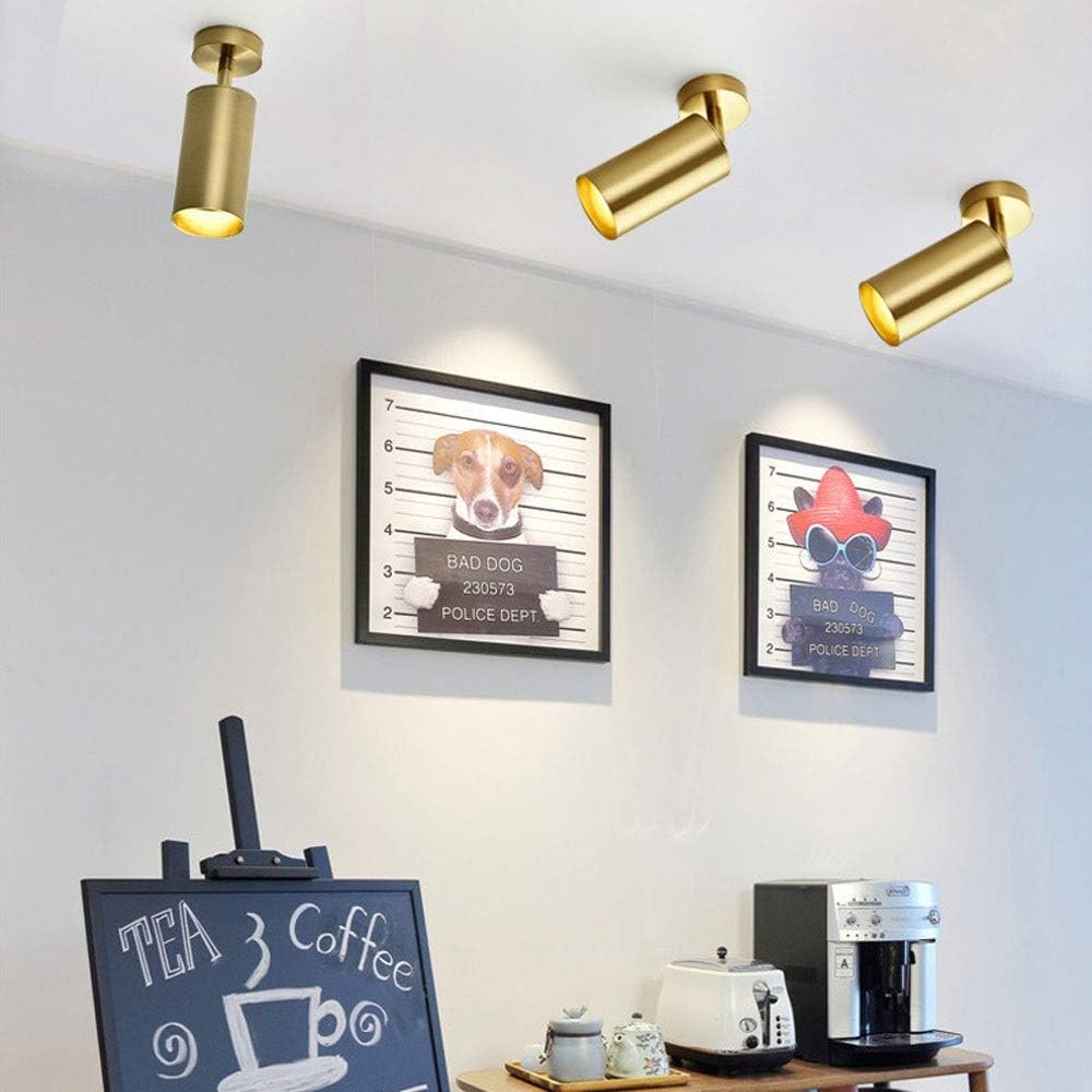 d Ceiling Spot Lights Modern Minimalist Wall Spotlight Aent Lamp, Adjustable Ceiling Lamps den Metal Ceiling Spotlights Indoor for Kitchen Office Shop Cafe, GU10 Base