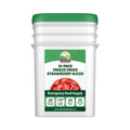 Valley Food Storage Freeze Dried Strawberries | Emergency Food Supply, 25 Year Shelf Life | Survival Food, Camping Snacks & Long Term Prepper Storage | Real Fruit, Packaged in USA (10 Bags + Bucket)