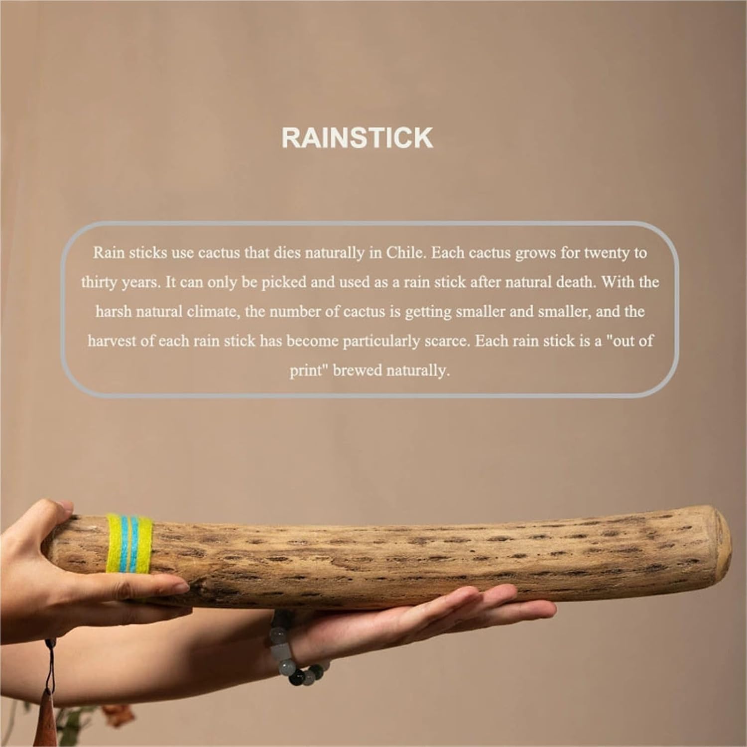 Chilean Cactus Rain Stick - Natural Ocean Wave Sounds Instrument, Handmade Meditation Rainstick for Relaxation, Stress Relief, Sound Therapy(Thick,50cm)