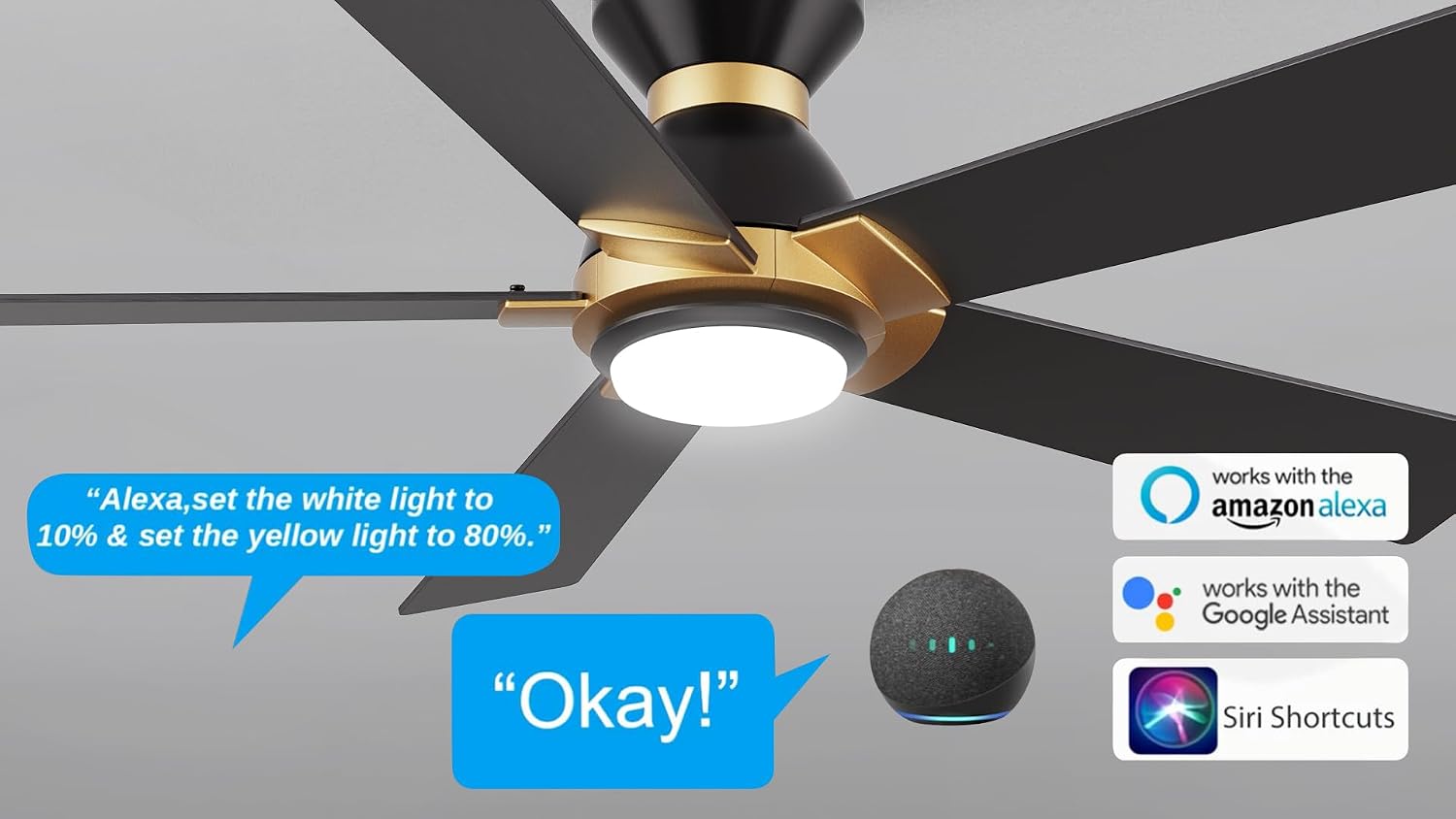 Carro Smart Ceiling Fans with Lights Flush Mount 52', 3 Light Colors Dimmable, 10 Speeds DC Ceiling Fan with Remote, Outdoor, Compatible with Alexa, Siri & Google Home, Black Gold