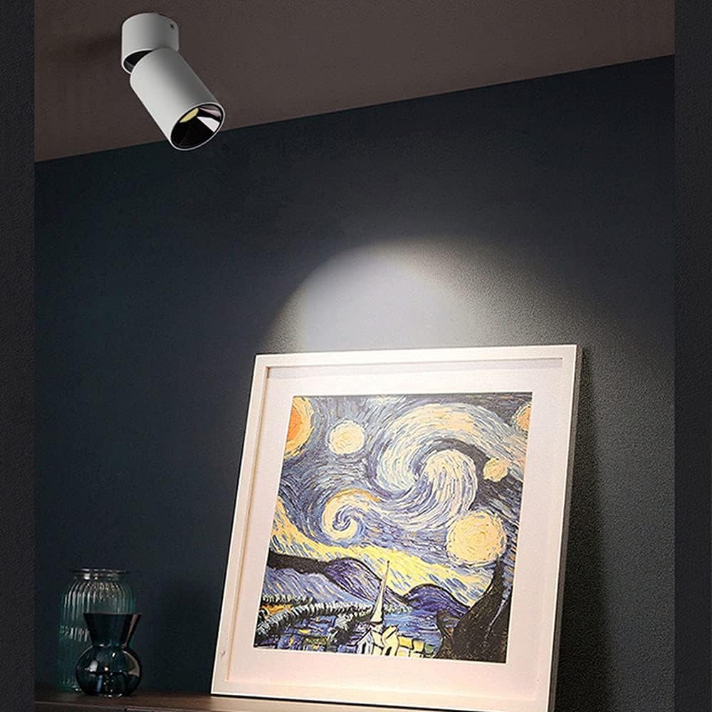 Spotlights,Led Ceiling Spotlight Indoor 10W Surface Mount Aent Spot Lamp, Adjustable Ceiling Light Fixture, Living Room Corridor Directional Spotlights, Gallery Picture Lighting/White-30