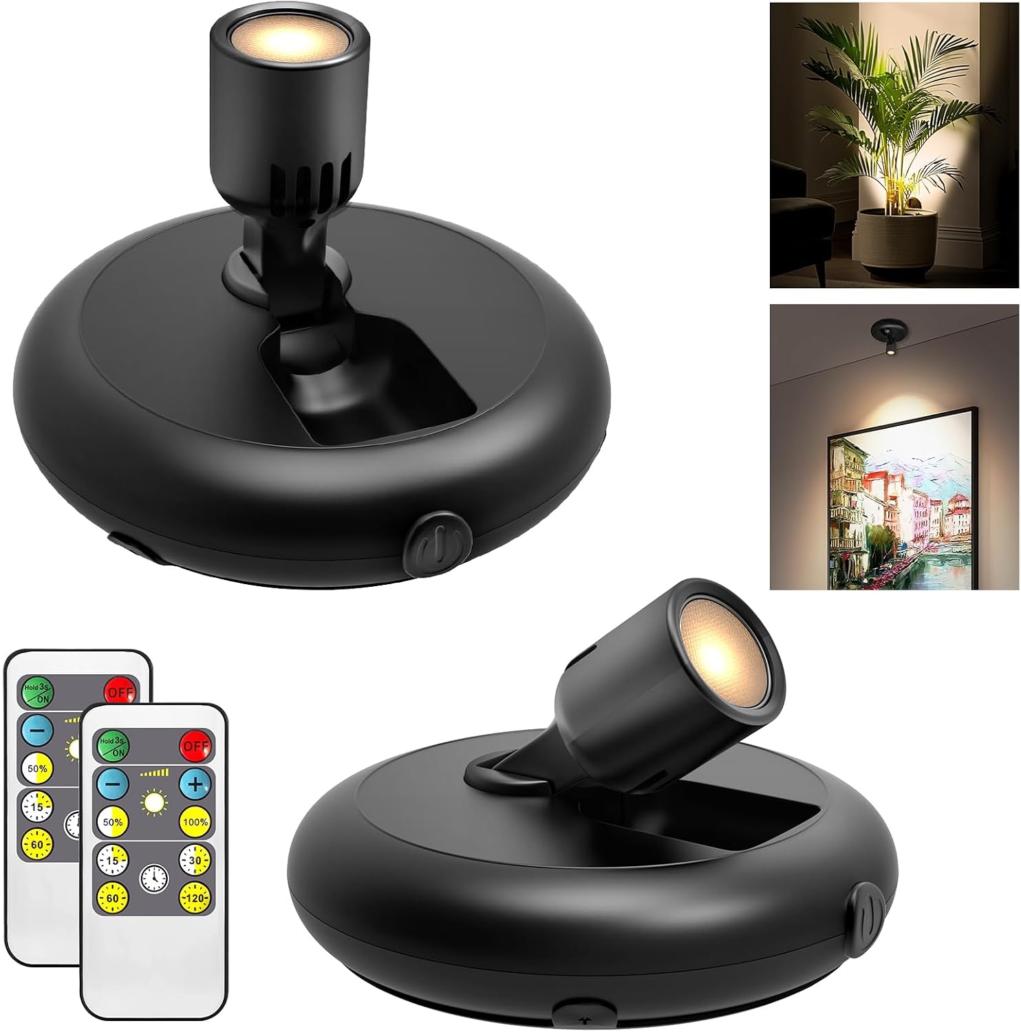 Indoor Plant Spotlight Battery Operated,Picture Light with Remote,Wall Painting Uplight,Wireless Dimmable Timer,Spot Light for Plants Trees Pictures Dis Painting Art e Gallery Portrait