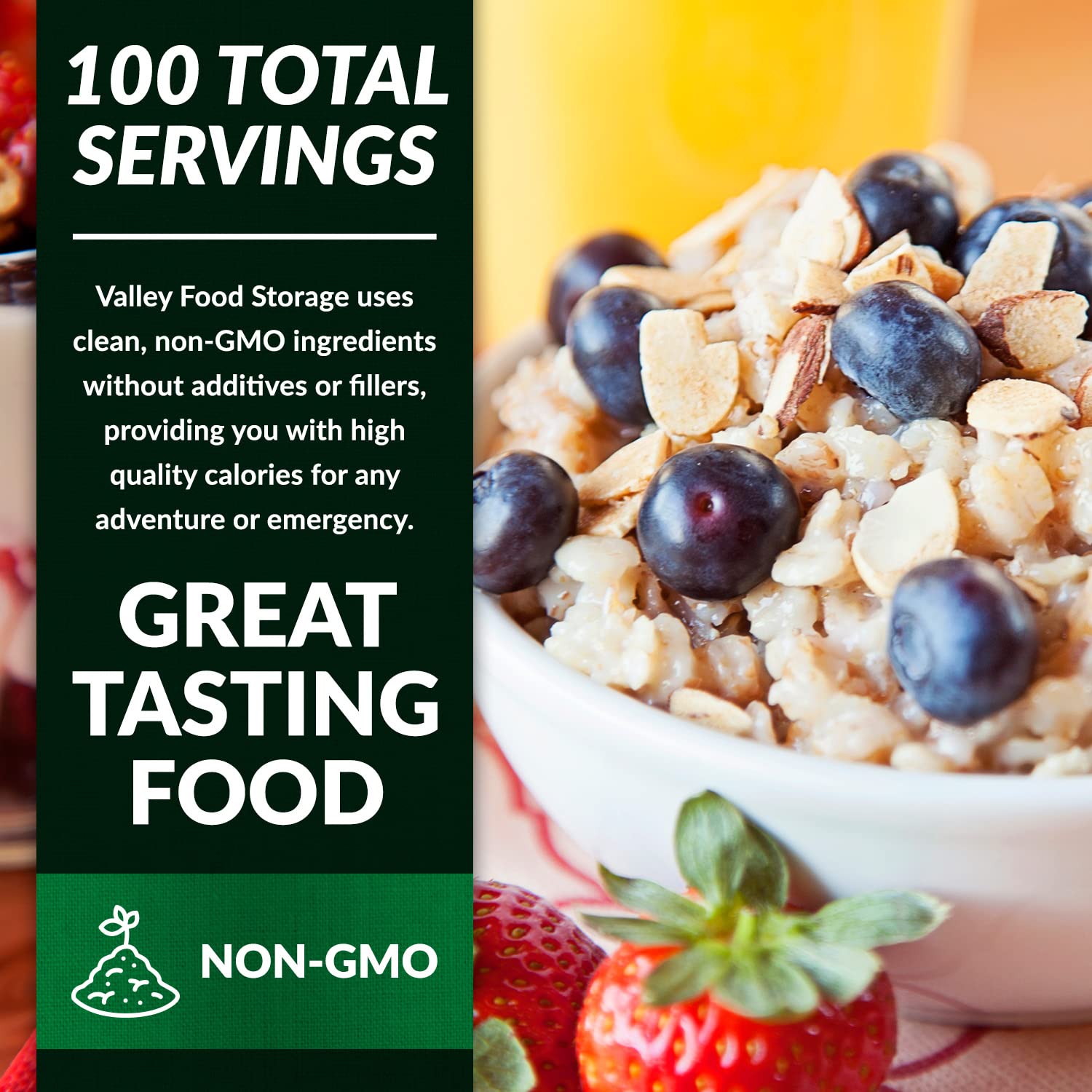 Valley Food Storage Multigrain Dried Cereal | 10-Bag Bucket, 100 Servings | Premium Emergency Food Supply, 25 Year Shelf Life | Survival Breakfast Food for Camping, Prepper Storage & Off-Grid Living