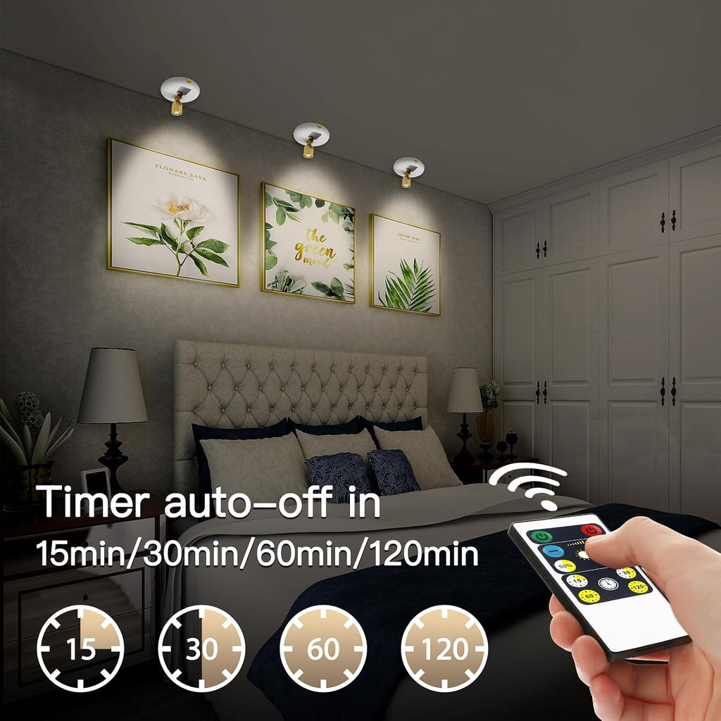 Indoor Plant Spotlight Battery Operated,Picture Light with Remote,Wall Painting Uplight,Wireless Dimmable Timer,Spot Light for Plants Trees Pictures Dis Painting Art e Gallery Portrait