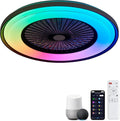 Dawn Whisper 24'' Ceiling Fan with Light Fandelier Flush Mount Low Profile Smart RGB Ceiling Fan with Dimmable LED Light for Kids Bedroom Black 3 Color 6 Speeds