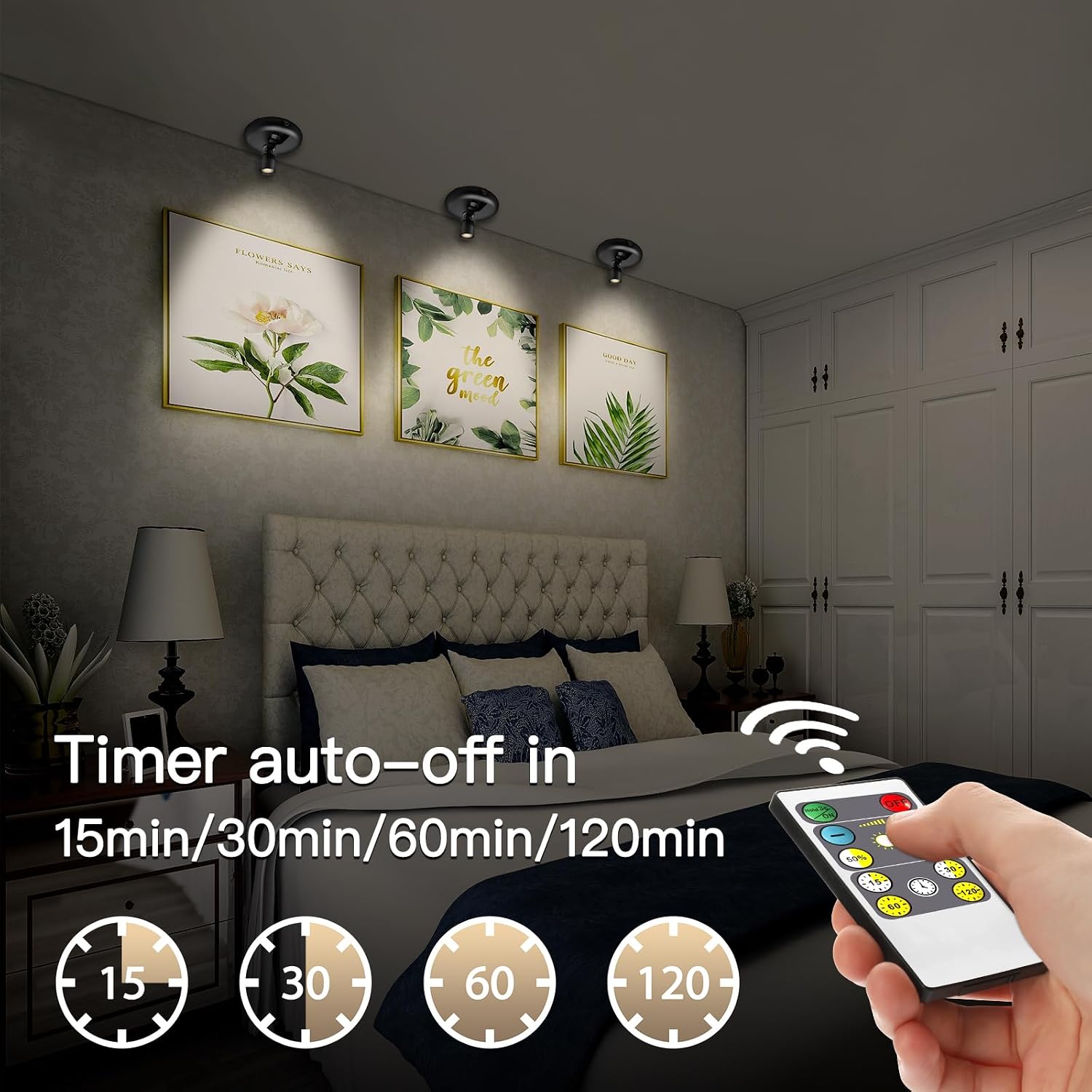 Indoor Plant Spotlight Battery Operated,Picture Light with Remote,Wall Painting Uplight,Wireless Dimmable Timer,Spot Light for Plants Trees Pictures Dis Painting Art e Gallery Portrait