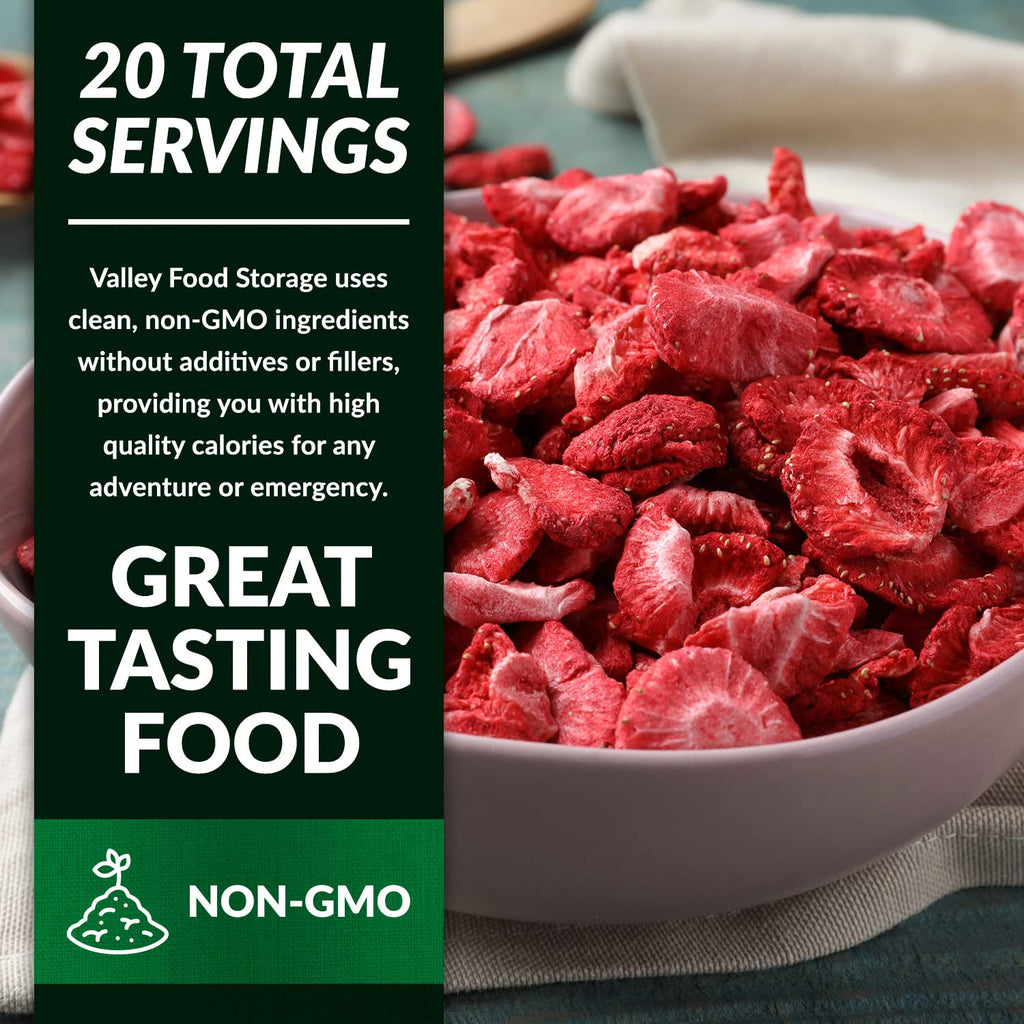 Valley Food Storage Freeze Dried Strawberries | Emergency Food Supply, 25 Year Shelf Life | Survival Food, Camping Snacks & Long Term Prepper Storage | Real Fruit, Packaged in USA (10 Bags + Bucket)